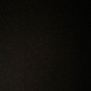 Meet your Posher, Owen